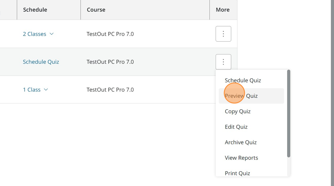 Screenshot showing Preview Quiz.
